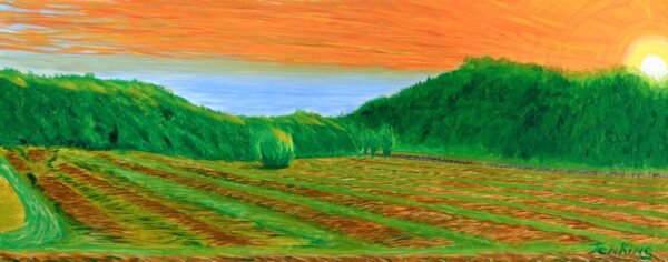 Cut, Rake & Bail-Mr. Green